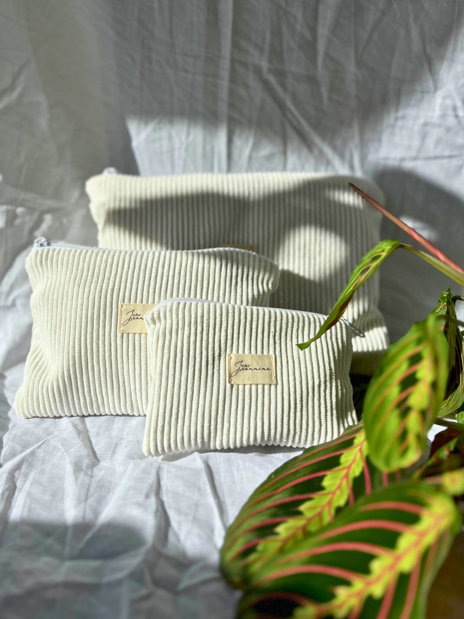 Collection : Marguerite